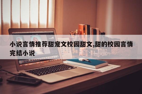 小说言情推荐甜宠文校园甜文,甜的校园言情完结小说