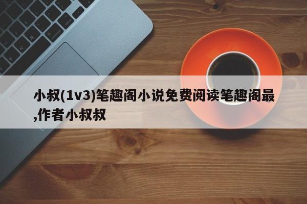 小叔(1v3)笔趣阁小说免费阅读笔趣阁最,作者小叔叔